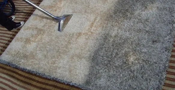 不同的污渍弄到地毯怎么洗